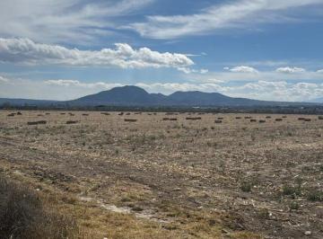 Terreno / Lote · 4ha · Terreno en Venta, San Jacinto, Mex.