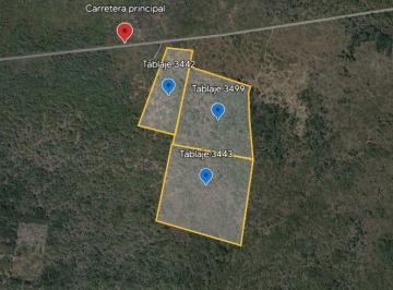 Terreno / Lote · 47578m² · Terreno - Playa del Carmen