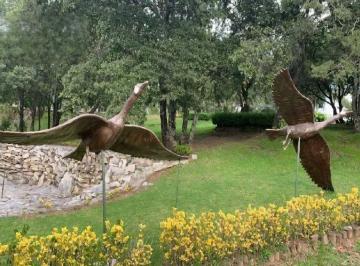 Terreno / Lote · 324m² · Terreno en Venta en Lago Norte, Haras Campestre