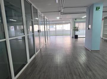 Oficina , Miguel Hidalgo · Zona Hotelera de Polanco