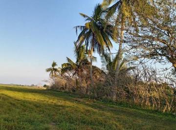 Terreno / Lote · 200000m² · Parcela de 20 Hectáreas en Venta Agricola/ganadera