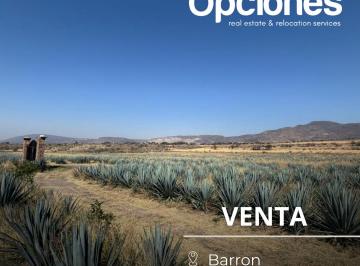 Terreno / Lote , Salamanca · Terreno en Venta – Barrón
