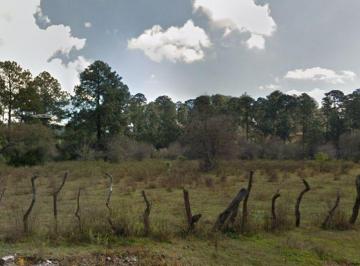 Terreno / Lote · 10189m² · Terreno Campestre en Venta en Los Espinos Predio La Atarjea en El Mun. de Tapalpa Jal.