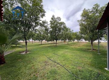 1ce421a17aa1d061331d46189f67fef927d1700eb24a1f480ce7d1e5fbf6a9dc · En Venta Granja con 100 Nogales, Salón de Eventos, Alberca y Mucho Más