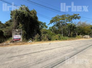 Terreno / Lote · 10000m² · Se Vende Amplio Terreno en Imi, Campeche
