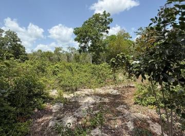 Terreno / Lote · 20000m² · Rancho + Terreno en Venta Mi Ranchito Carretera Federal Hacia Leona Vicario