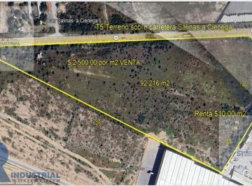 Terreno / Lote · 92216m² · Terreno en Renta/venta en Salinas Victoria