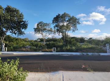 Terreno / Lote · 309m² · Terreno en Venta en Mallorca, Cholul, Yucatan