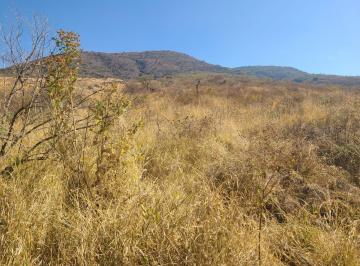Terreno / Lote · 410000m² · Terreno en Venta en Tangancícuaro, Michoacán