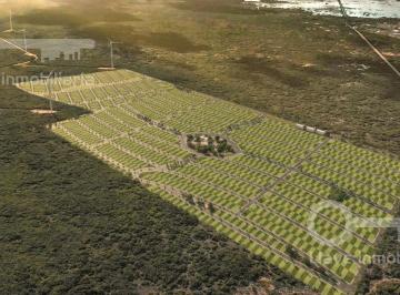 Terreno / Lote · 200m² · Terrenos en Venta Yucatán Chicxulub