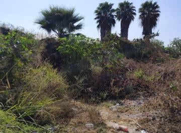 Terreno / Lote , Yautepec · Terreno Sobre Av en Oacalco Yautepec