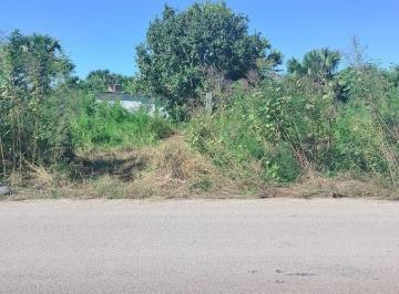 Terreno / Lote · 10000ha · Venta de Hectárea en Chiquilá – Oportunidad de Inversión