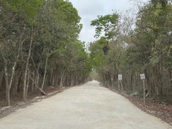 Terreno / Lote · 1000ha · Venta Terreno Cenote Dos Ojos