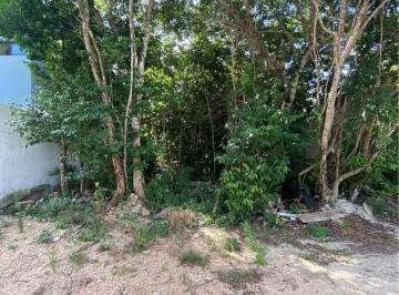 Terreno / Lote · 220ha · Venta Terreno Alamos 2
