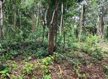 Terreno / Lote · 300m² · Terreno en Bacalar