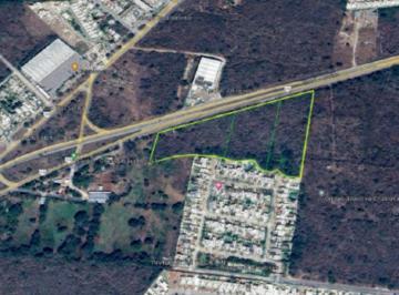 Terreno / Lote , Conkal · Terreno en Venta Mérida, Oportunidad Única en Conkal
