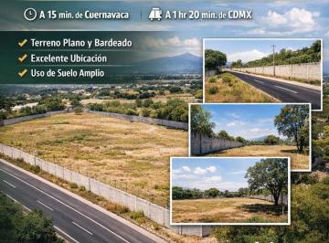 Terreno / Lote · 10095m² · Terreno Carretera Federal Alpuyecas–grutas, Col. Cuaxcomac, Xochitepec, Morelos