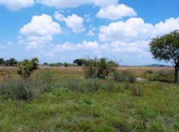Terreno / Lote , San Juan del Río · Oportunidad de Terreno Agrícola