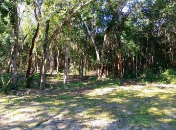 Terreno / Lote , Solidaridad · Terreno en Venta en Playa del Carmen | Zona Norte de Mayakoba | 270 m² | Escriturado | ¡Oportunidad!