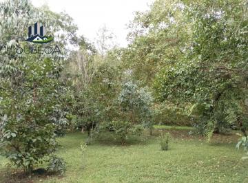 Terreno / Lote , Coatepec · Terreno en Venta – Carretera Antigua Xalapa–coatepec