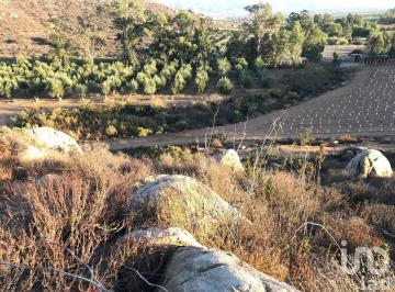 Terreno / Lote · 25000m² · Terreno en Venta Para Proyecto Vinícola en El Valle de Guadalupe, Baja California.