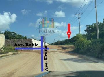 Terreno / Lote · 5000m² · Terreno en Venta Para Desarollo Cerca de Prol La Luna y Huayacan