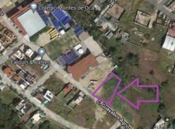 Terreno / Lote · 2000m² · Lote / Terreno en Renta en Lomas de Zompantle