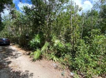 Terreno / Lote · 440m² · Vendo 2 Terrenos Juntos en Esquina Dé Oportunidad Inversión por Av Prolongación La Luna Dé Dé 444 m²