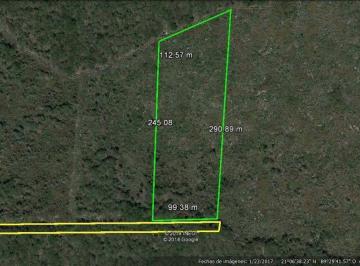 Terreno / Lote , Conkal · Terreno en Venta Mérida, Dos Hectáreas en Conkal Yucatan