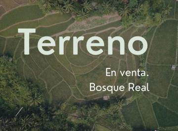 Terreno / Lote , Huixquilucan · Venta Terreno en Bosque Real