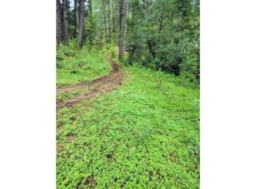 Terreno / Lote , Valle de Bravo · Venta /terreno /saucos /valle de Bravo
