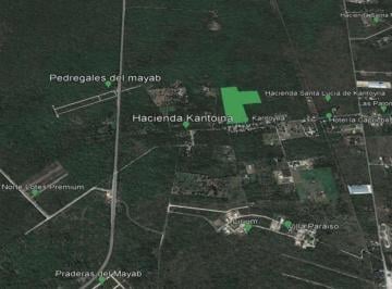 Terreno / Lote , Conkal · Terreno en Venta Merida Yucatán, Conkal Cerca de Hacienda Kantoyna