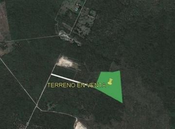 Terreno / Lote , Conkal · Terreno en Venta Mérida Norte en Conkal Cerca de La Costa