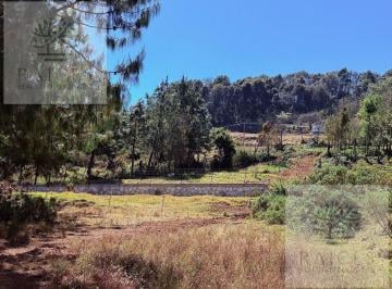 Terreno / Lote · Terreno Ideal Para Cabaña con Servicios