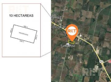 Terreno / Lote · Terreno en Altamira