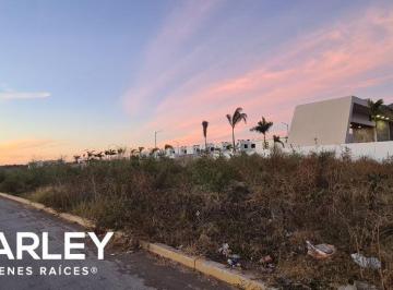 Terreno / Lote , Culiacán · Terreno en Venta en Culiacan Sinaloa