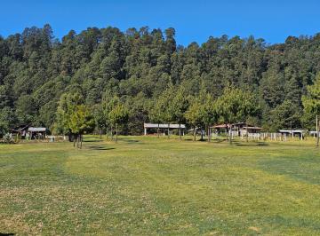 Terreno / Lote 1500m² Venta Valle de Bravo · Terreno Plano en Venta con Vista Al Bosque