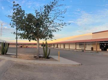 Local comercial · 100m² · Locales en Renta – Plaza Comercial Futura
