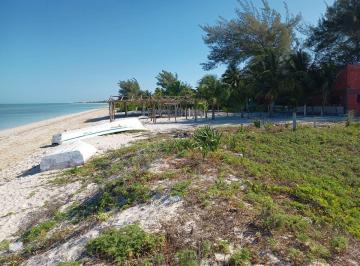 Terreno / Lote , Celestún · Terreno en Venta Frente Al Mar en Celestún, Yucatán