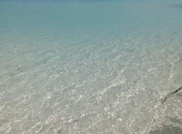 Terreno / Lote · 10000m² · Hectárea en Bacalar