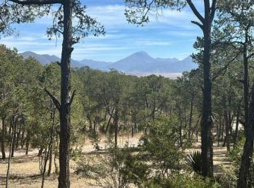 Terreno / Lote , Arteaga · Terreno Campestre Ubicado en Entronque a San Antonio de Las Alazanas y Ejido Los Llanos
