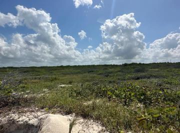 Terreno / Lote · 800m² · Terreno en Venta Frente Al Mar en Sisal Puerto