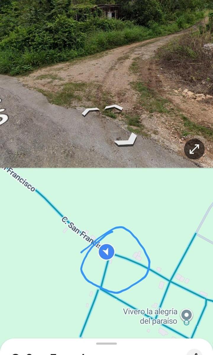 Land Suitable for Planting Fruit Trees