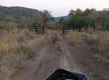Terreno / Lote · 1300000m² · Rancho Ganadero en Venta, Ejido El Olivo, Aldama, Tamaulipas.