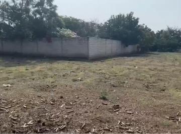 Terreno / Lote · 1978ha · Venta de Terreno en Cocoyoc