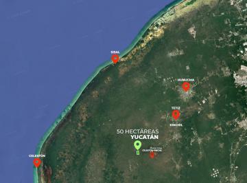 Terreno / Lote , Mérida · 50 Hectáreas en Yucatán a $40/m² | Cerca de Celestún y Sisal