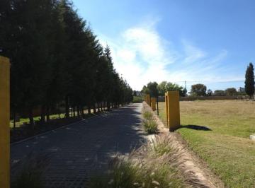 Terreno / Lote , San Andrés Cholula · Terreno de 200 m² en Venta en Pueblo San Andrés Cholula