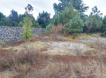Terreno / Lote , Huasca de Ocampo · Terreno en Venta Huasca Hidalgo