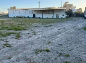Bodega comercial · 1000m² · Bodega en Venta/renta Adolf Horn