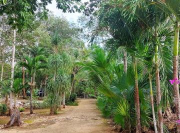 Terreno / Lote · 25m² · Terreno en Manuel Antonio Ay